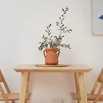 Stylish Slow Living 1 Bdr House By Lovelystay 別荘 *