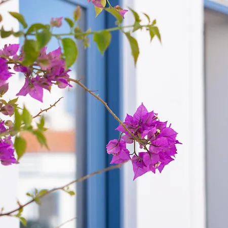 Stylish Slow Living 1 Bdr House By Lovelystay Casa vacanze *